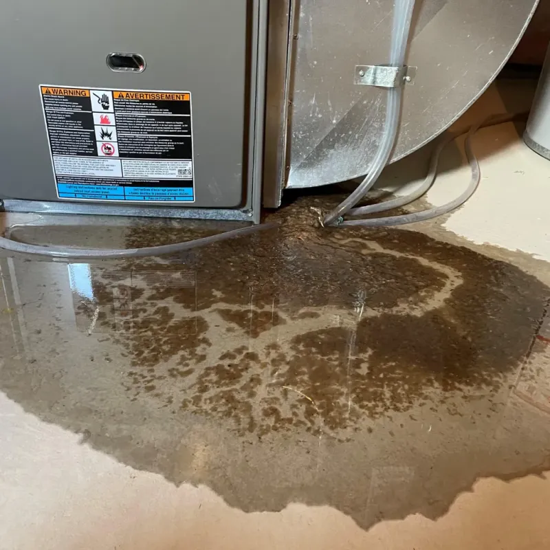 Appliance Leak Cleanup in Musselshell County, MT